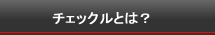 チェックルとは？